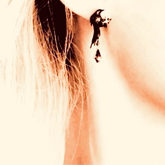 “Raven” Edgar Poe Perched Crow Bird Star Blood Droplet Macabre Gothic Grim Studs - Picture 7 of 16